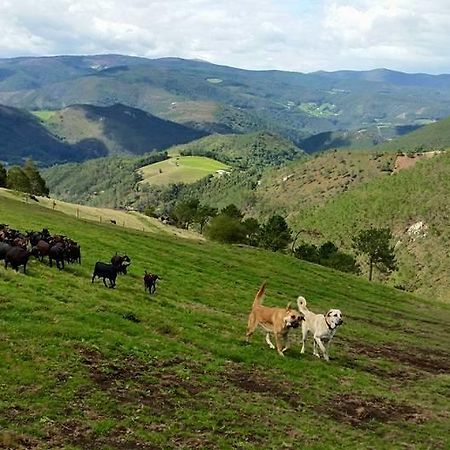 Hotel Rural Yeguada Albeitar Villayón Zewnętrze zdjęcie
