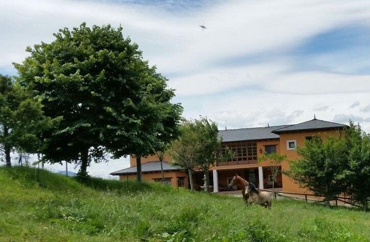 Hotel Rural Yeguada Albeitar Villayón Zewnętrze zdjęcie