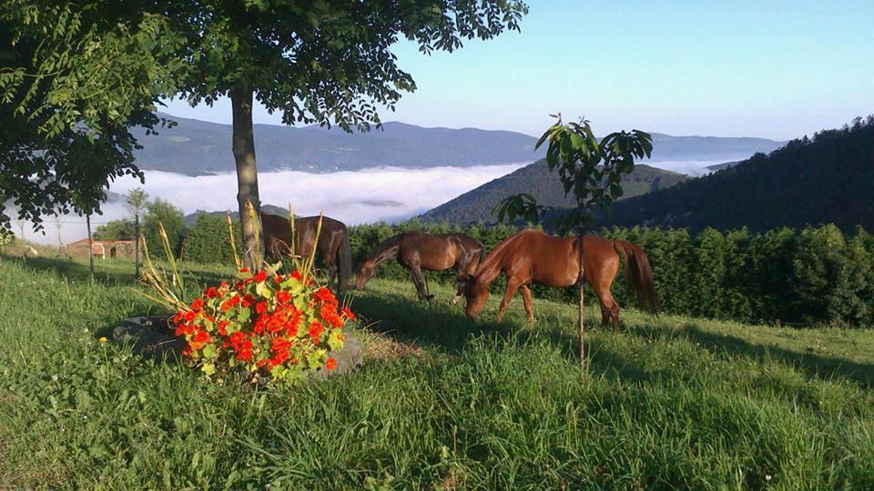Hotel Rural Yeguada Albeitar Villayón Zewnętrze zdjęcie