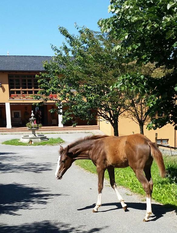 Hotel Rural Yeguada Albeitar Villayón Zewnętrze zdjęcie