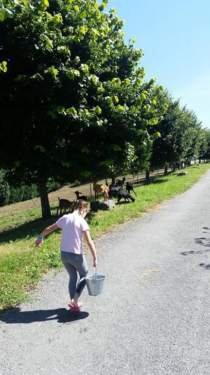 Hotel Rural Yeguada Albeitar Villayón Zewnętrze zdjęcie