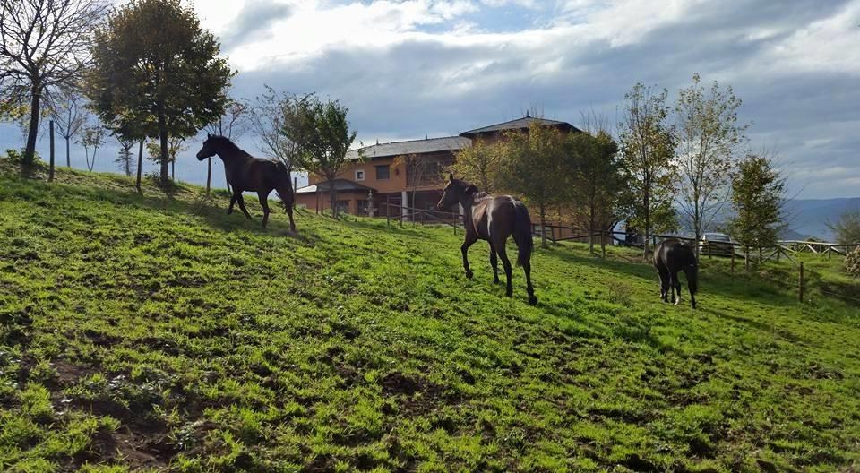 Hotel Rural Yeguada Albeitar Villayón Zewnętrze zdjęcie