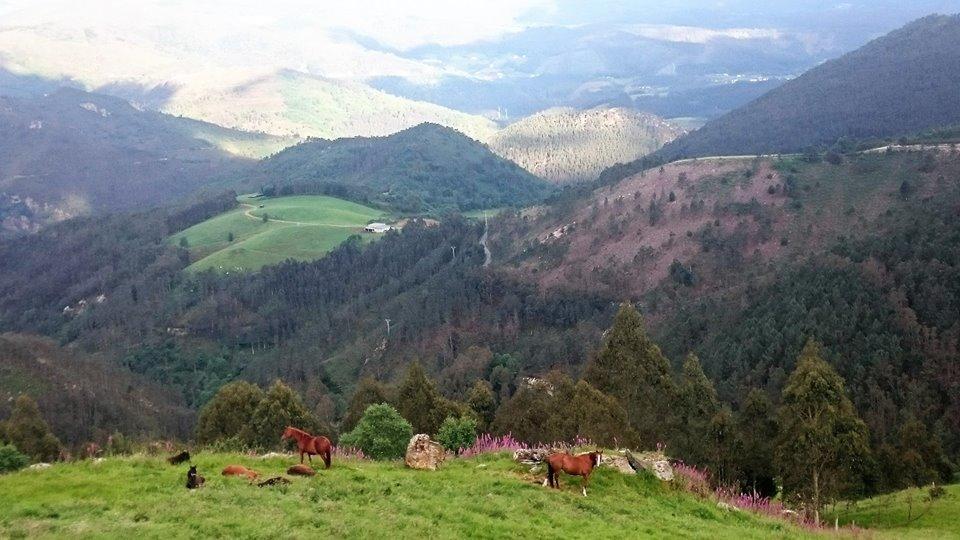 Hotel Rural Yeguada Albeitar Villayón Zewnętrze zdjęcie